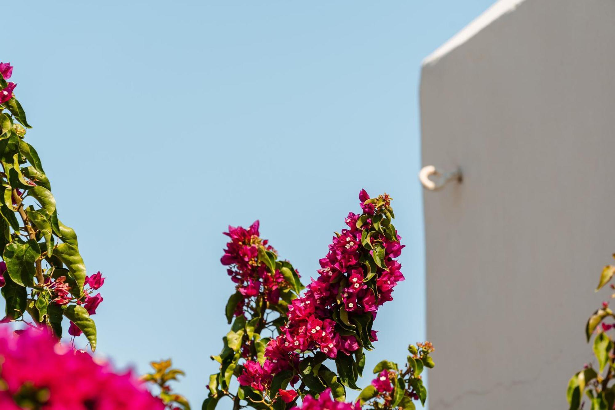 Rosabella Home Naxos City Exteriér fotografie